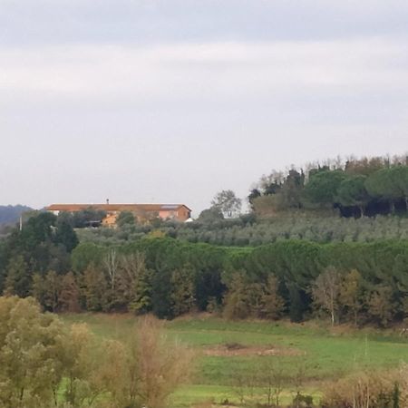 Agriturismo L'Isola Crespina Экстерьер фото