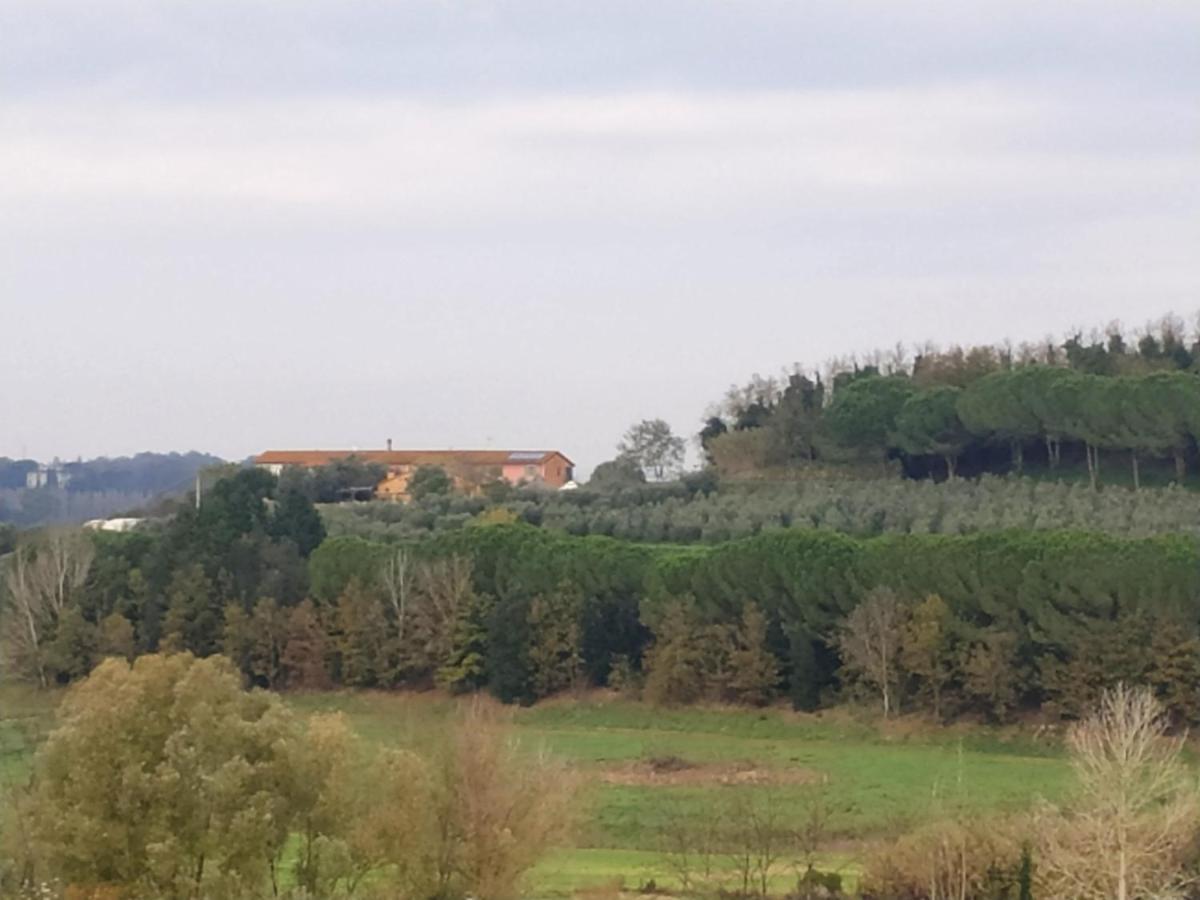 Agriturismo L'Isola Crespina Экстерьер фото