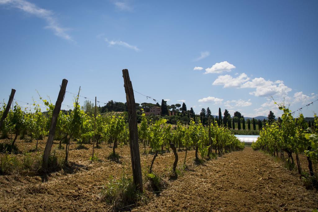 Agriturismo L'Isola Crespina Экстерьер фото
