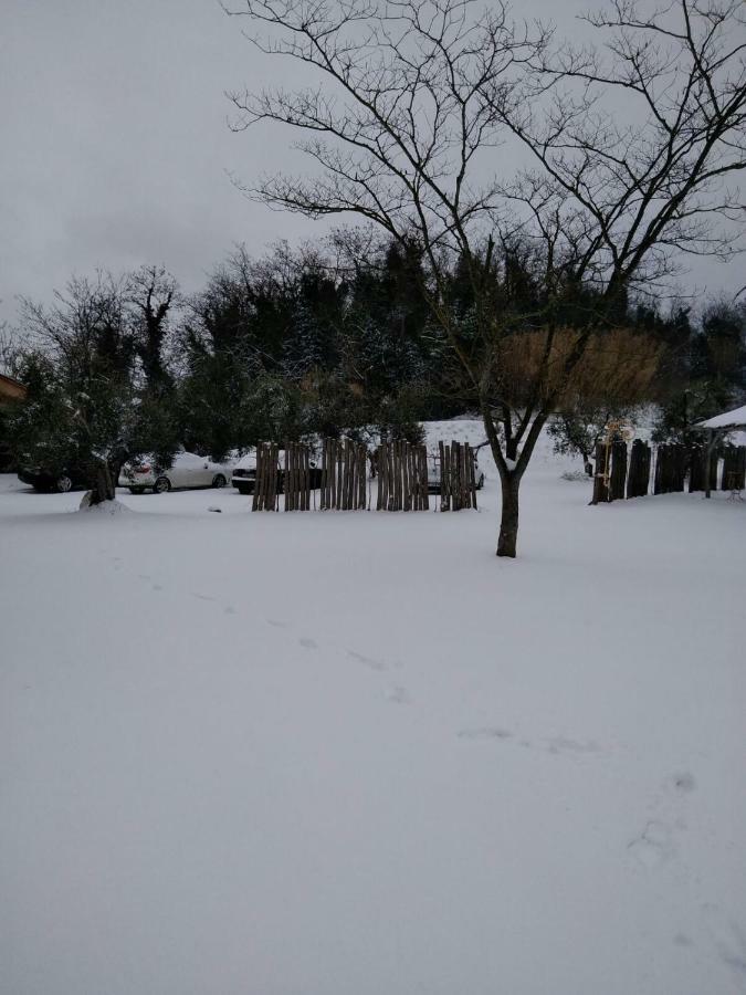 Agriturismo L'Isola Crespina Экстерьер фото